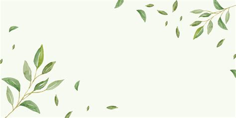 banner vectorial minimalista  moderno  base de hierbas  espacio