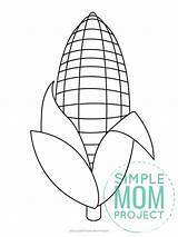 Corn Simplemomproject Preschoolers sketch template