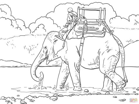 elephant carrying  man