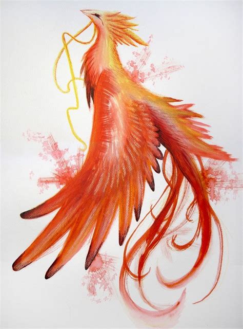 phoenix drawing pheonix drawing fire bird