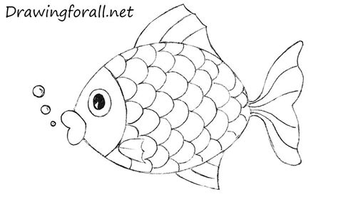 easy fish drawing fish drawings easy drawings