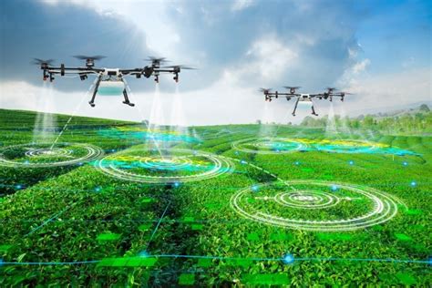 les drones dans le domaine agricole agrimarocma