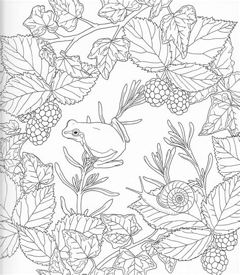pin  color pages stencils templates patterns