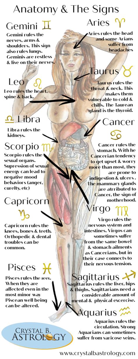 medical astrology connections between anatomy and the