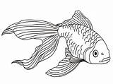 Goldfish Coloring Pages Printable Kids Fish Drawing Drawings Line sketch template