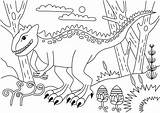 Carnotaurus Colorear Dinosaur Dinosaurio Dinosaurios Jurassic Spinosaurus Disegno Ausmalbild sketch template