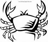 Coloring Animal Pages Ocean Animals Color Printable Crab Sea Kids Cliparts Clipart Sheets Print Sheet Library Small sketch template