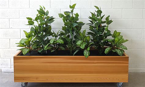 plants  grow  planter boxes bloom box products