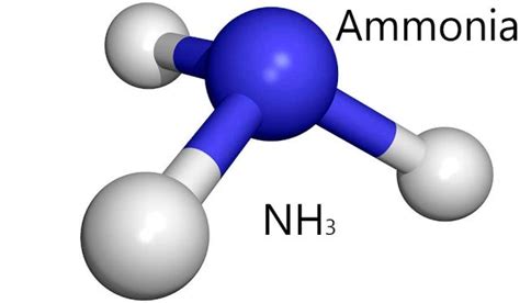 ammonia nh  benefits studiousguy