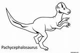 Pachycephalosaurus Dinossauro Dinosaure Colorir Animaux Dinosaurs Triceratops Brontosaurus Pritnable Tudodesenhos Fastseoguru Coloriages Olphreunion Freekidscoloringpage 1526 sketch template