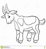Goat Coloring Pages Boer Cute Drawing Paintingvalley Getcolorings Printable Color Simplistic sketch template