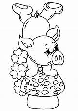Porquinhos Riscos Porquinho Nil Semaninha Porcos Pintura Rabiscos Porco sketch template