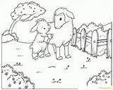 Sheep Lamb Coloring Pages Goats Spring Online Printable Color Nature Animals Template sketch template
