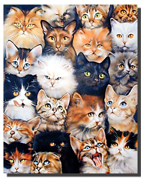 cat collage poster animal posters cat posters