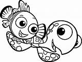 Nemo Squirt Finding Drawing Coloring Clipartmag sketch template