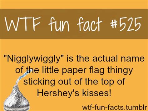 More Of Wtf Fun Facts Are Coming Here Funny And Weird