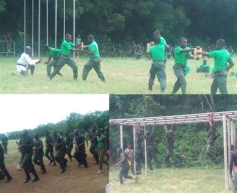 forest guards    armed forestry commission  ghana report