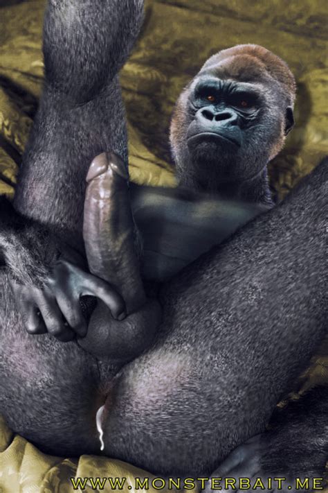 gay furry gorilla porn