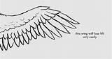 Wings Drawing Bird Feathers Pointy Drawings Flight Taking Step Paintingvalley Guide Into sketch template