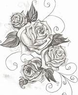 Rose Drawing Tattoo Tattoos Traditional Getdrawings sketch template