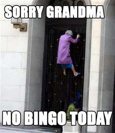 Top 10 Funny Bingo Memes To Make Your Day