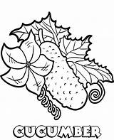 Cucumber Coloring Pages Topcoloringpages Sheet Vegetables Print Popular sketch template