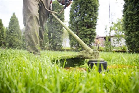 Best 5 Spring Lawn Care Tips Yard Advancement