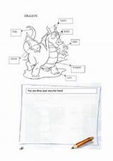 Dragon Worksheet Coloring Parts Body Dragons sketch template