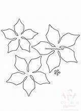 Poinsettia Paper Flowers Template Easy Christmas Coloring Related sketch template