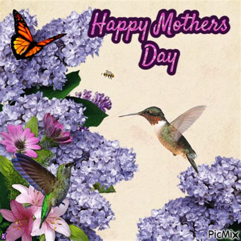 hummingbird happy mothers day pictures   images  facebook tumblr pinterest