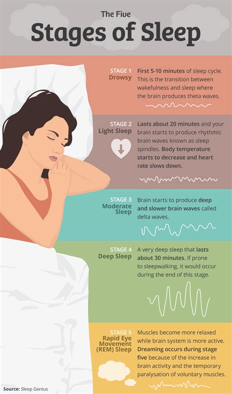 Five Stages Of Sleep Stages Of Sleep Stages Of Sleep Sleep Cycle My