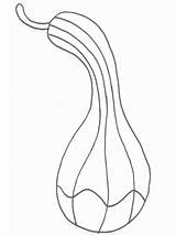 Gourd Coloring Pages Drawing Gourds Bottle Templates Fruit Getdrawings Sheet Fall Easy Template sketch template
