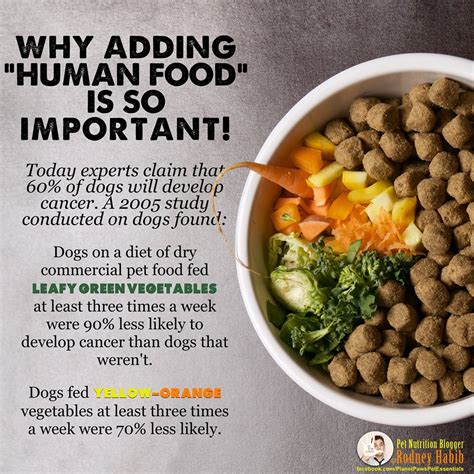 heres     important  add fresh human food   pets kibble  good dog food
