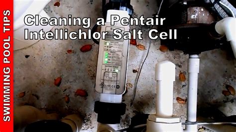 cleaning  pentair intellichlor salt cell youtube