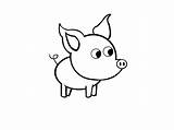 Pig Drawing Easy Simple Draw Drawings Step Eyes Cartoon Face Clipartmag Wikihow Steps Designs Body sketch template