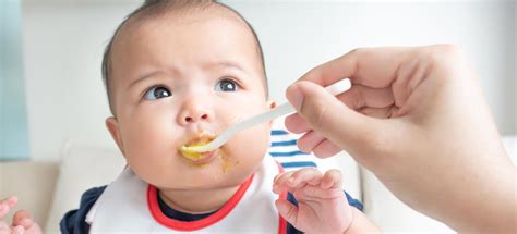 webmd  parents guide  feeding  baby nyu langone news