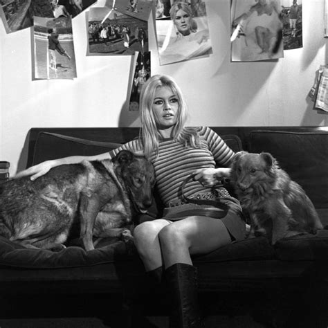 Brigitte Bardot And Puppies Brigitte Bardot Bardot