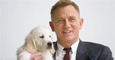 James Bond S Daniel Craig Holding Puppies Is The Most