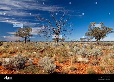 australian outback landscape  south western queensland