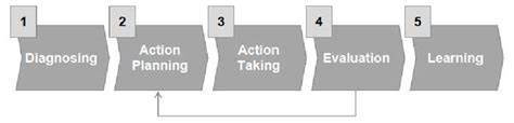 action research process model       long