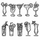 Cocktail Drawing Sketch Vector Premium Hand Set sketch template