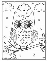 Eule Malvorlage Eulen Malvorlagen Ast Owls Verbnow Vögel sketch template