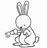 Baby Coloring Pages Animals Bunny Rabbit Gif sketch template