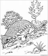 Ankylosaurus Coloring Pages Dinosaur Printable Protea Color Colouring Supercoloring Kids Coloringpagesonly Print Online Adults Crafts 63kb 269px sketch template