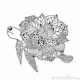 Turtle Stylized Zentangle Fantasy Vector Cartoon sketch template