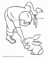 Coloring Pages Rabbit Pet Feeding Carrot Pets Animals Boy Bunny Activity Printable Kids Gif Rabbits sketch template