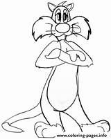 Sylvester Tunes Coloring Pages Looney Cat Drawing Tweety Draw Cartoons Printable Easy Step Drawings Lesson Steps sketch template