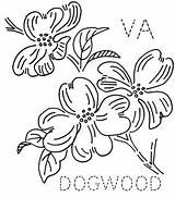 Dogwood Cornus Tree Line Turkeyfeathers Feathers Turkey Designlooter Petals sketch template