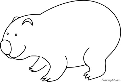 wombat coloring pages coloringall