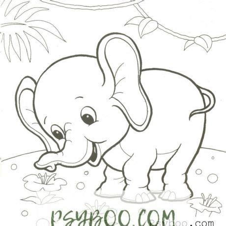 animals   elephant coloring page animal coloring pages
